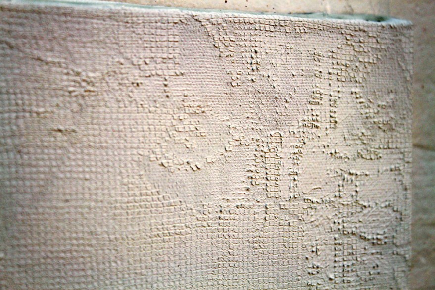 8_The Skin 2_deteail